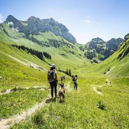Alpage For 4 People Châtel