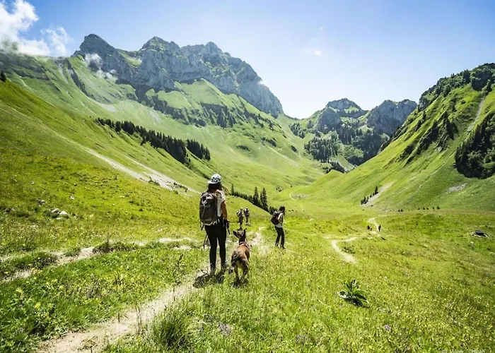 Alpage For 4 People Châtel