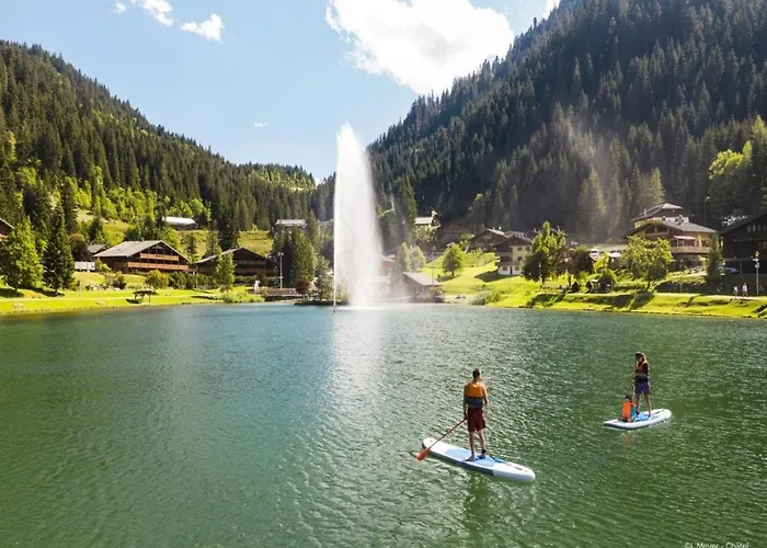 Apartment Alpage For 4 People Châtel