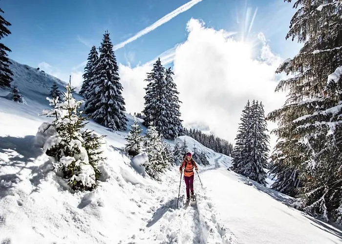 Apartment Alpage For 4 People *