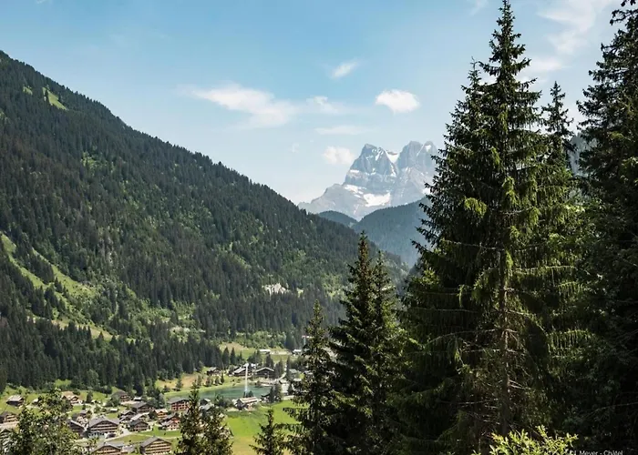 Alpage For 4 People Châtel